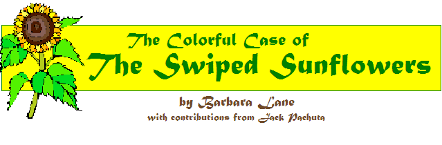 Personalized The Colorful Case of The Swiped Sunflowers Kids Mystery Party